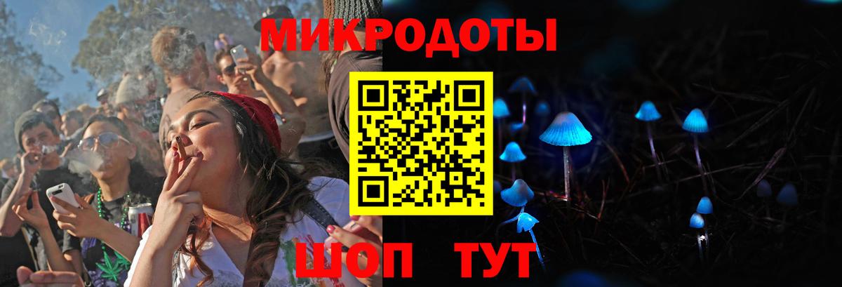 Галлюциногенные грибы Psilocybine cubensis Пугачёв